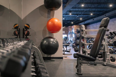 Modern gym with weight machines, free weights, and exercise balls for personal training.