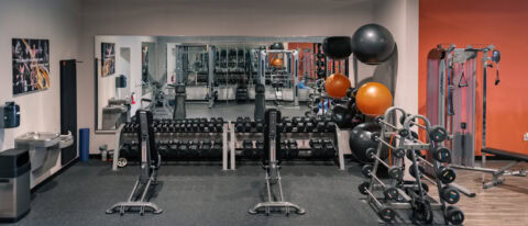 Well-equipped fitness center featuring dumbbells, functional training gear, and muscle building machines.