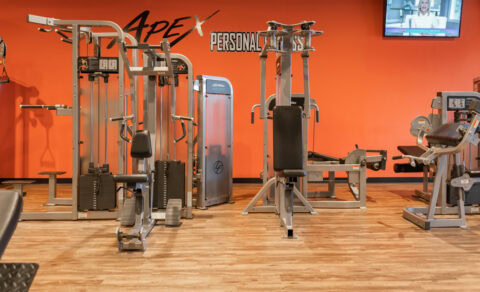 Modern cardio and strength training machines at Apex Personal Fitness.